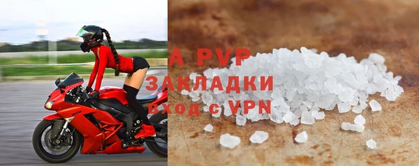 прущие грибы Каменск-Шахтинский
