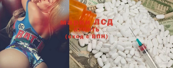 прущие грибы Каменск-Шахтинский