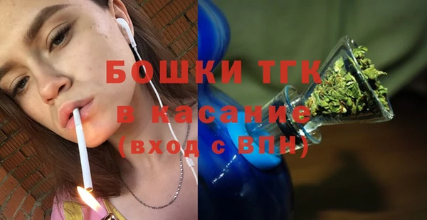 прущие грибы Каменск-Шахтинский