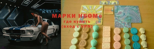 прущие грибы Каменск-Шахтинский