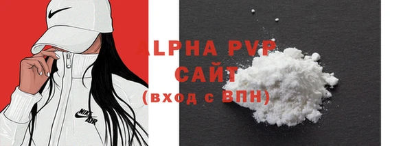 прущие грибы Каменск-Шахтинский