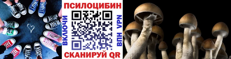 Купить закладки  Минеральные Воды  Галлюциногенные грибы MAGIC MUSHROOMS 